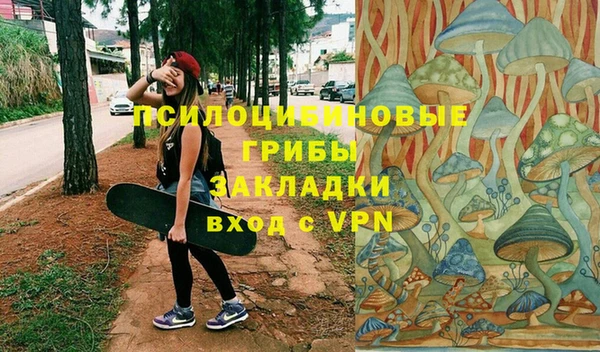 дмт Алексин
