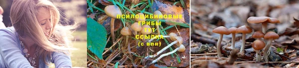 дмт Алексин