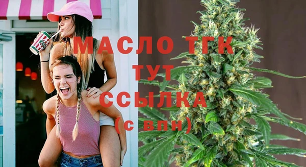 дмт Алексин