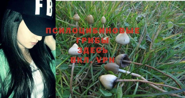 метамфетамин Алексеевка