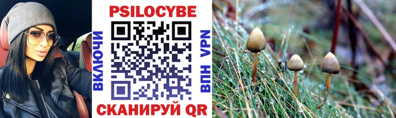 Галлюциногенные грибы ЛСД Беслан